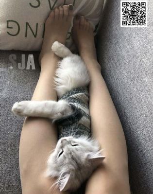 教室别恋无删减_BD国语在线观看视频