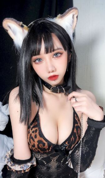 龙之家族 电视剧_高清免费高清观看