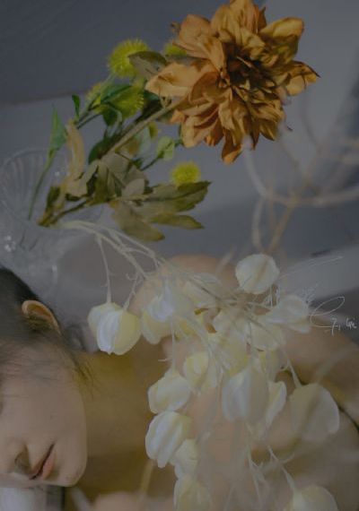 回复术士重启在樱花免费动漫_DVD高清视频播放